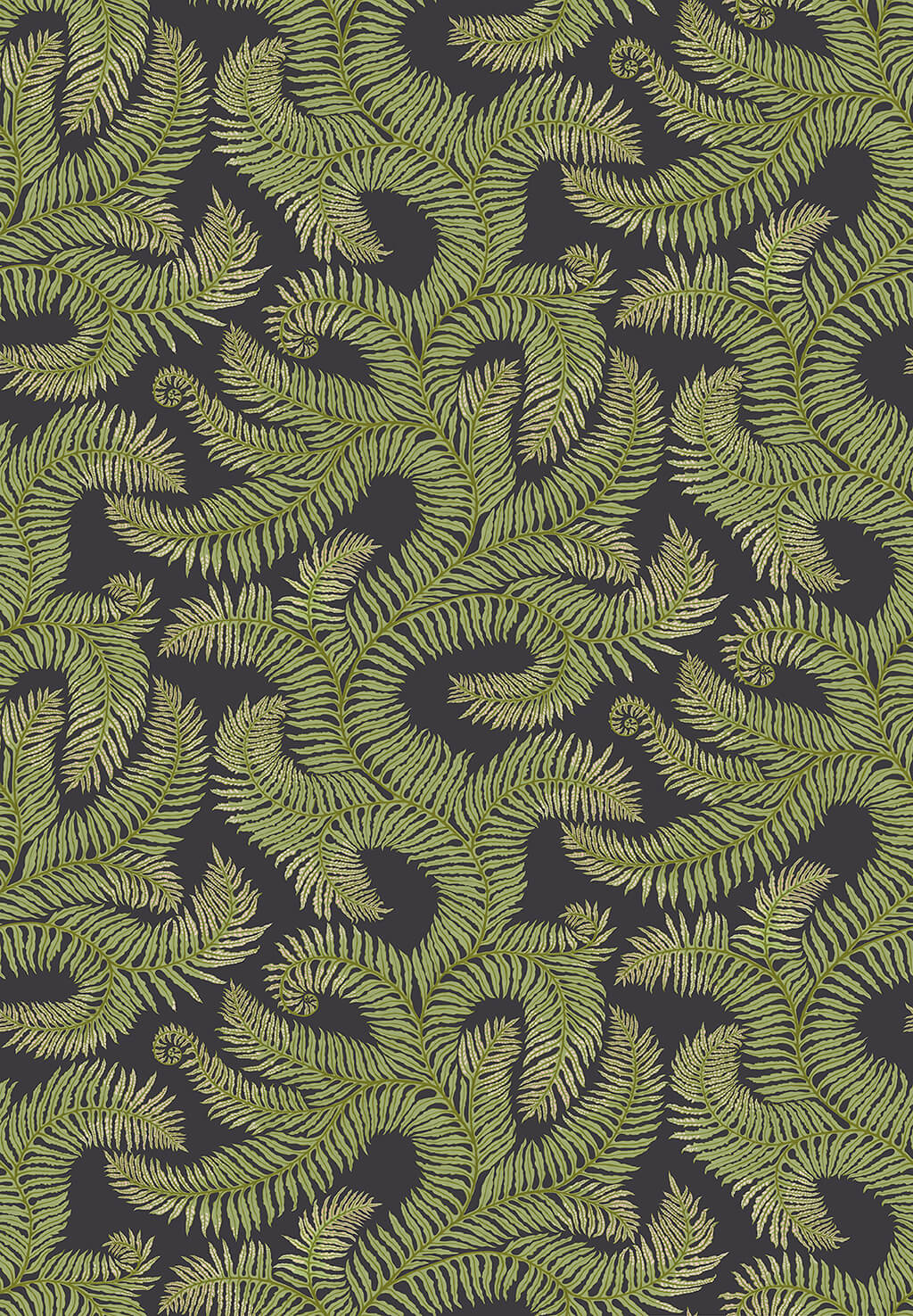 Bombe’s Fernery Wallpaper | Dark Grey and Green