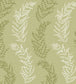 Mimosa Trail Wallpaper - Green 