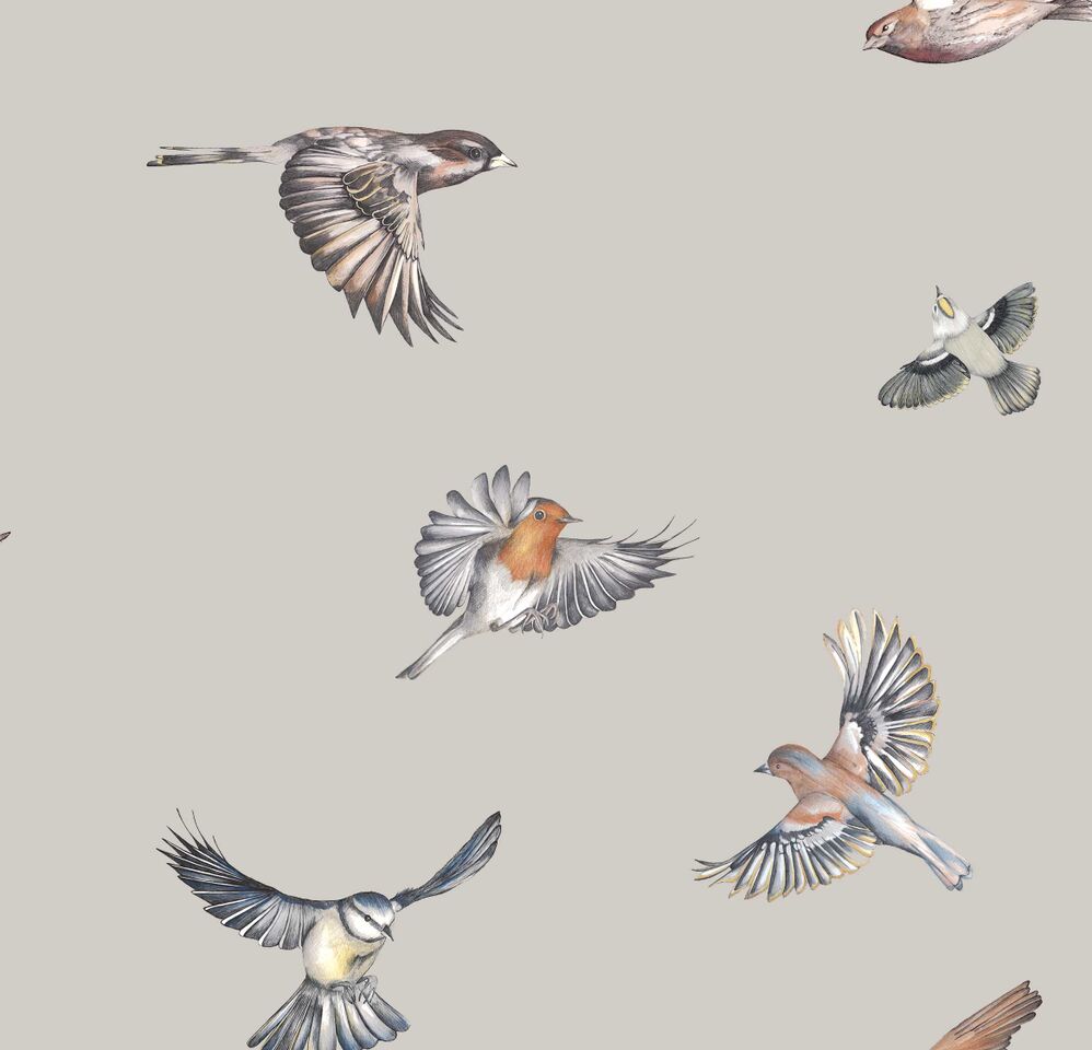 Early Bird Wallpaper - Brown