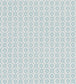 Jaal Wallpaper - Eau de Nil - PDG1150/07 - Designers Guild