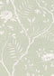 Jasper Peony Wallpaper - Green - Lewis & Wood