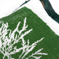 ALGAE I Room Cushion 4 - Green