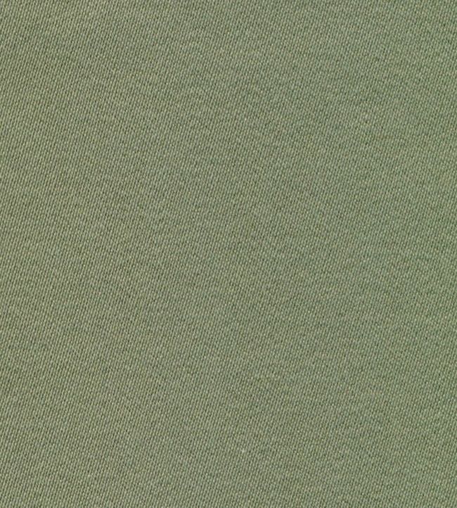 Liso Fabric - Green