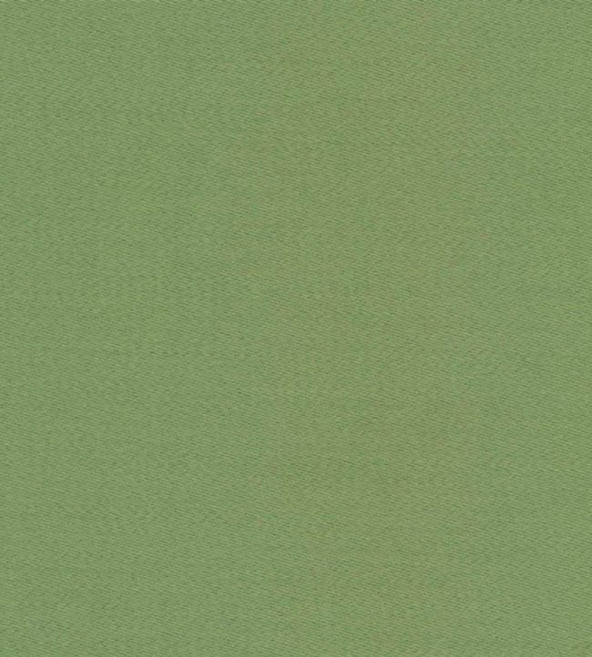 Liso Fabric - Green 