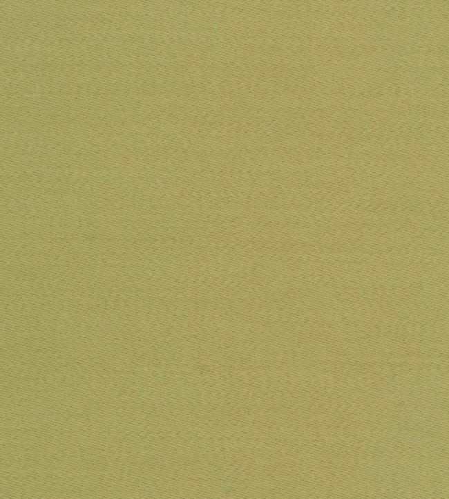 Liso Fabric - Green 