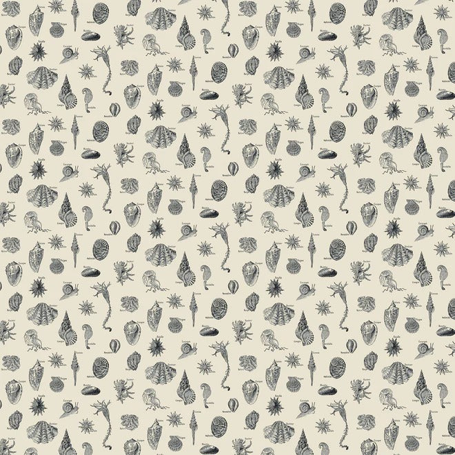 Low Tide Lunch Wallpaper