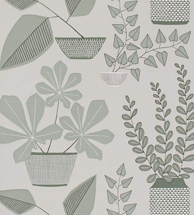 House Plants Wallpaper - Gray