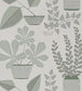 House Plants Wallpaper - Gray