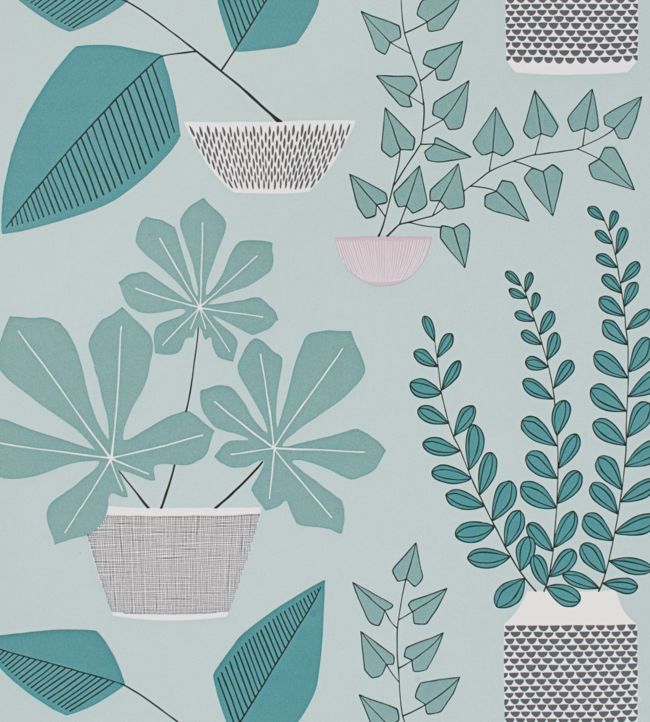 House Plants Wallpaper - Teal