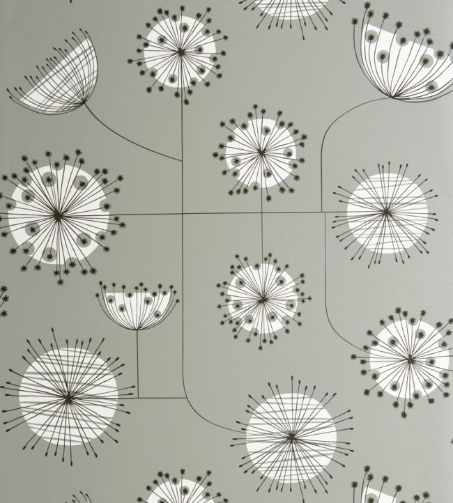 Dandelion Mobile Wallpaper - Gray