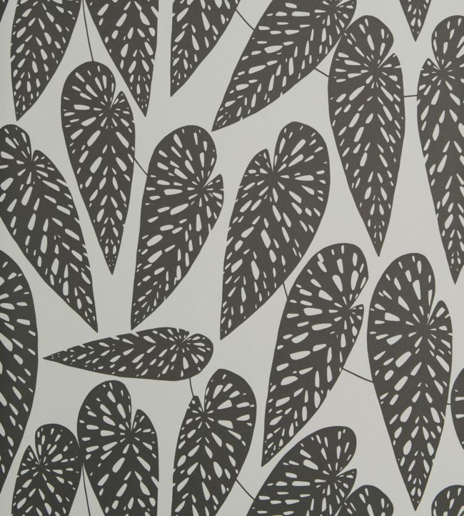 Tropics Wallpaper - Black 