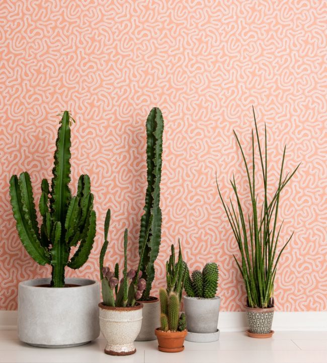 Coral Room Wallpaper - Pink 
