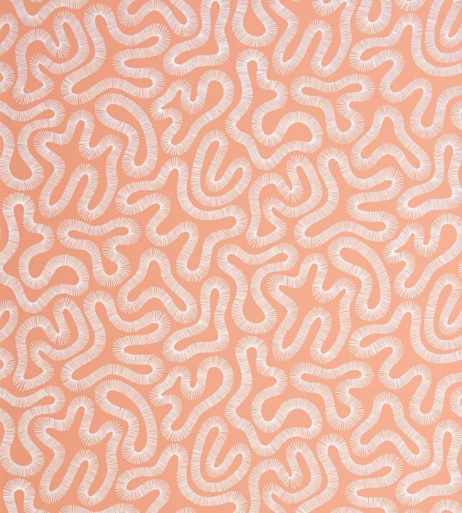 Coral Wallpaper - Pink 