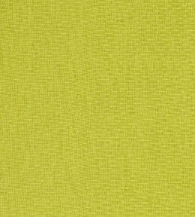 Palm Plain Fabric - Green 