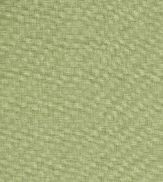 Palm Plain Fabric - Green 