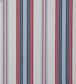 Bangaru Stripe Fabric - Blue 