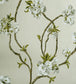 Orchard Blossom Wallpaper - Green