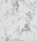 NCW4205-05 - Barbary Toile Wallpaper - Charcoal - Nina Campbell