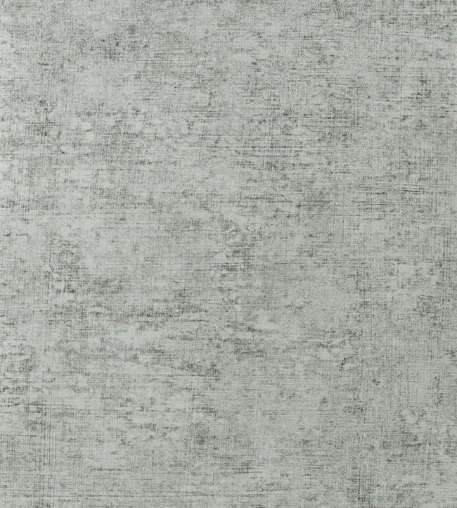 Cerato Wallpaper - Gray