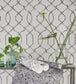 Rabeschi Room Wallpaper - Gray