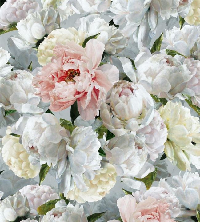 Peonia Grande Wallpaper - Zinc - PDG1102/01 - Designers Guild