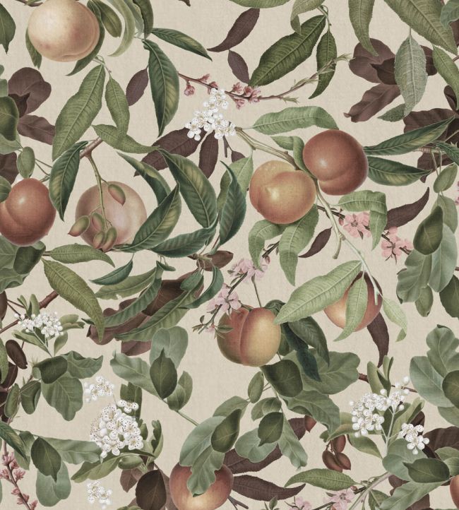 Peach Valley Wallpaper - Green