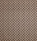 Goldfinch Fabric - Brown