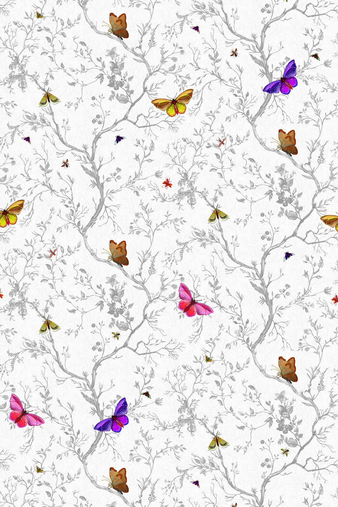Butterflies Wallpaper - White