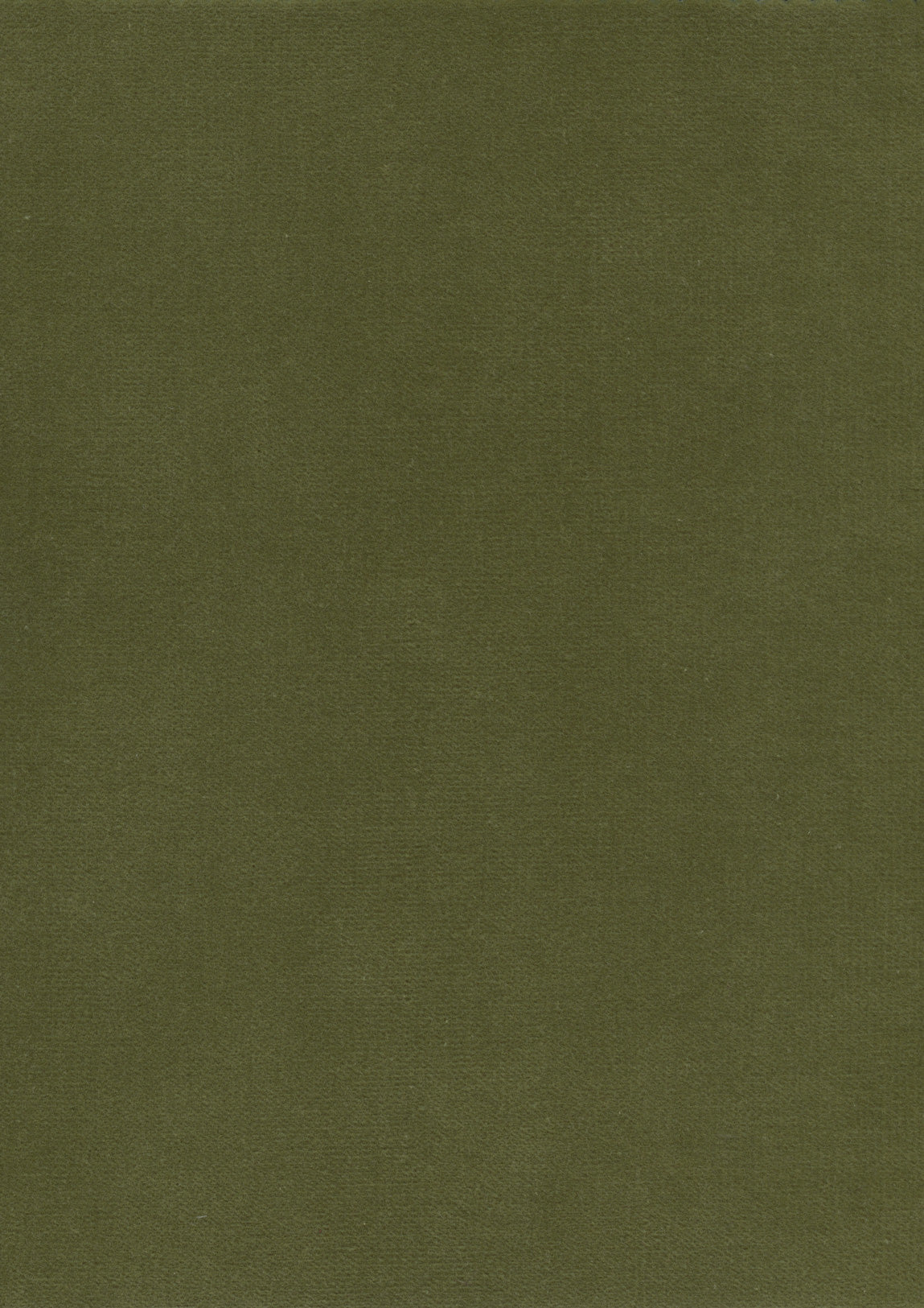 Rooksmoor Velvet Fabric - Green - Lewis & Wood