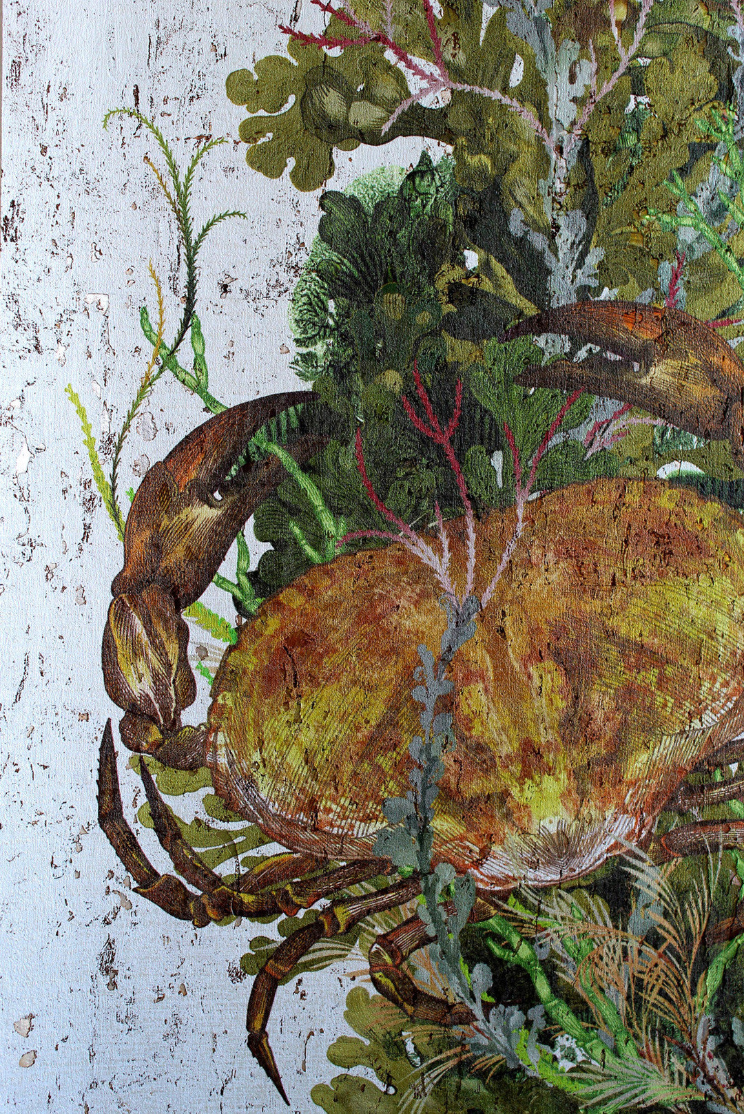 Crab And Lobster Cork Room Wallpaper 2 - Green