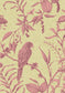 Squawk Wallpaper - Purple - Lewis & Wood