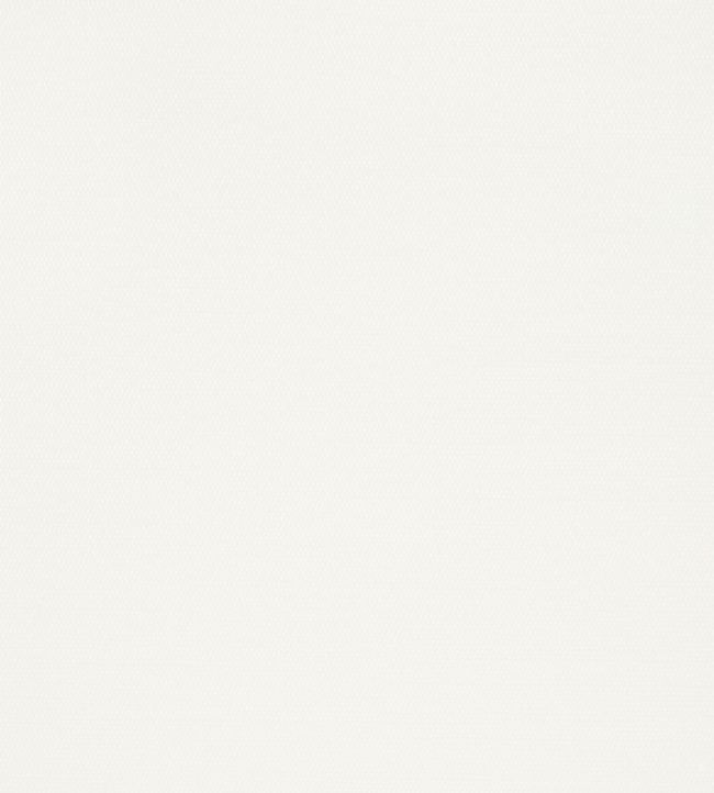 Surfrider Wallpaper -  White 