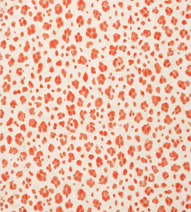 Panthera Wallpaper - Orange 