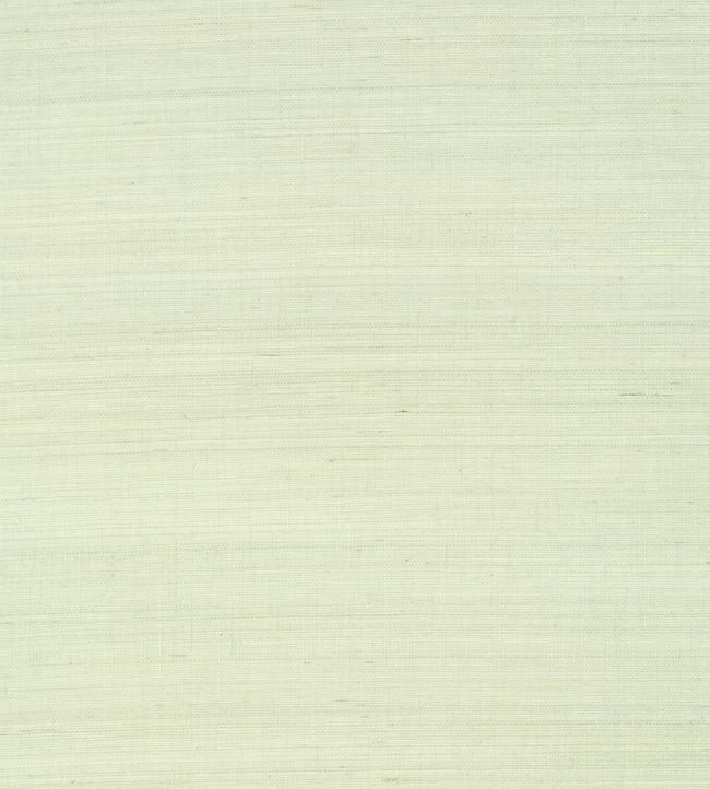 Shang Extra Fine Sisal Wallpaper - Green 