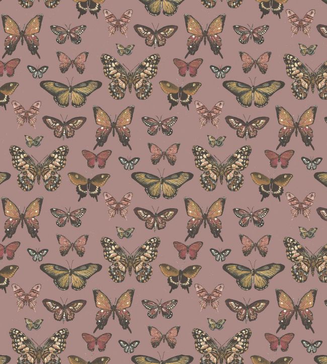 TAMAN5 - Taman Wallpaper - Rose - Arley House