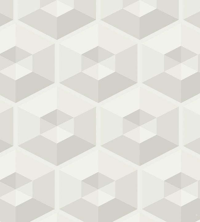 Geometric Illusion Wallpaper - White