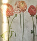 Tourangelle Scene 2 Wallpaper - Peony - PDG1100/01 - Designers Guild