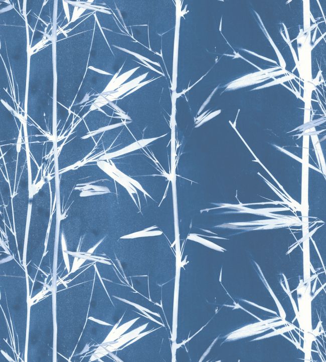 Bamboo Wallpaper - Teal