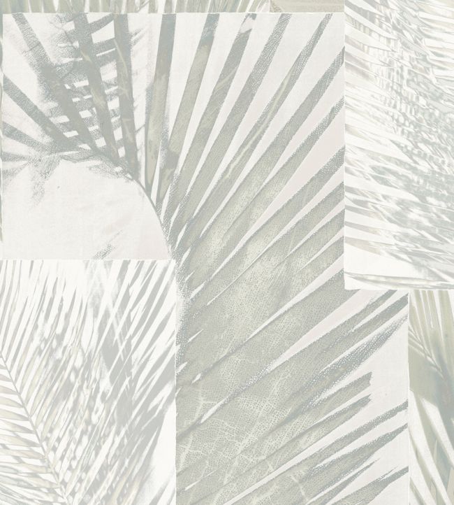 Palms Wallpaper - Gray
