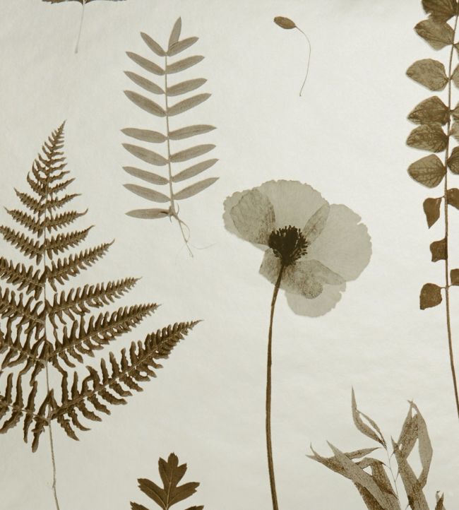Herbarium Wallpaper - Cream