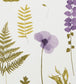 Herbarium Wallpaper - Purple