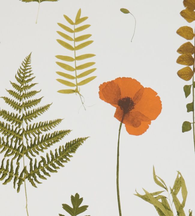 Herbarium Wallpaper - Green