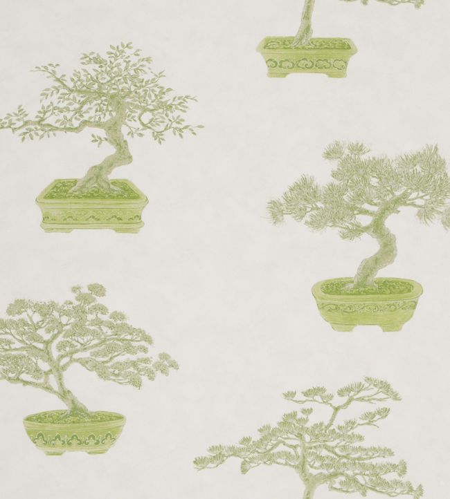 Cedros Wallpaper - Green