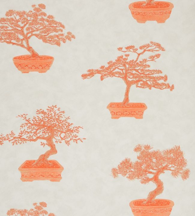 Cedros Wallpaper - Orange