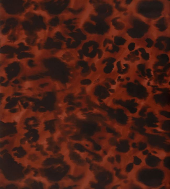 Wildcat Wallpaper - Red