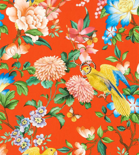 Golden Parrot Wallpaper - Orange
