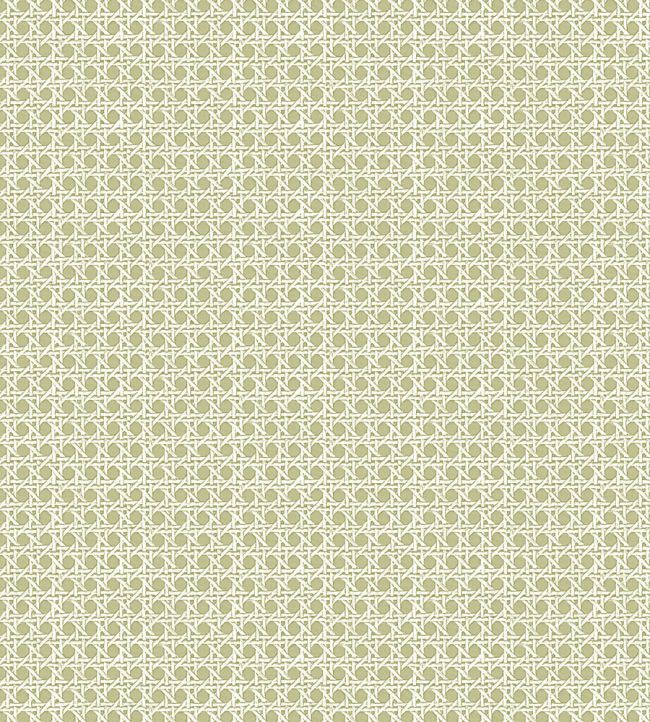 Rattan Grasscloth Wallpaper - Green