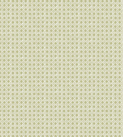 Rattan Grasscloth Wallpaper - Green