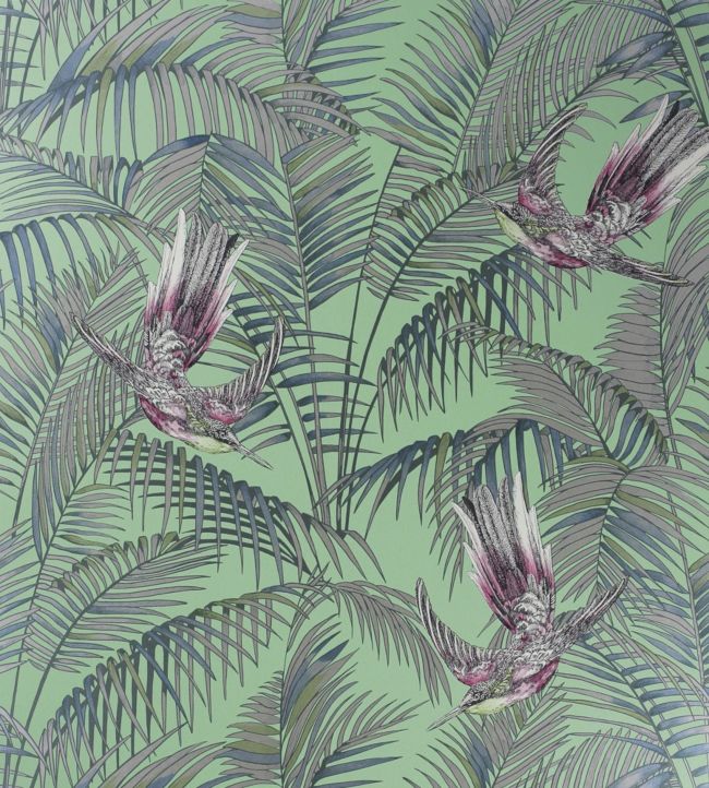 Sunbird Wallpaper - Green 