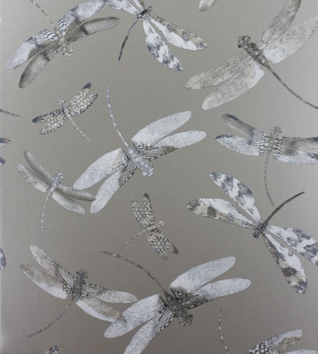 Dragonfly Dance Nursey Wallpaper - Gray